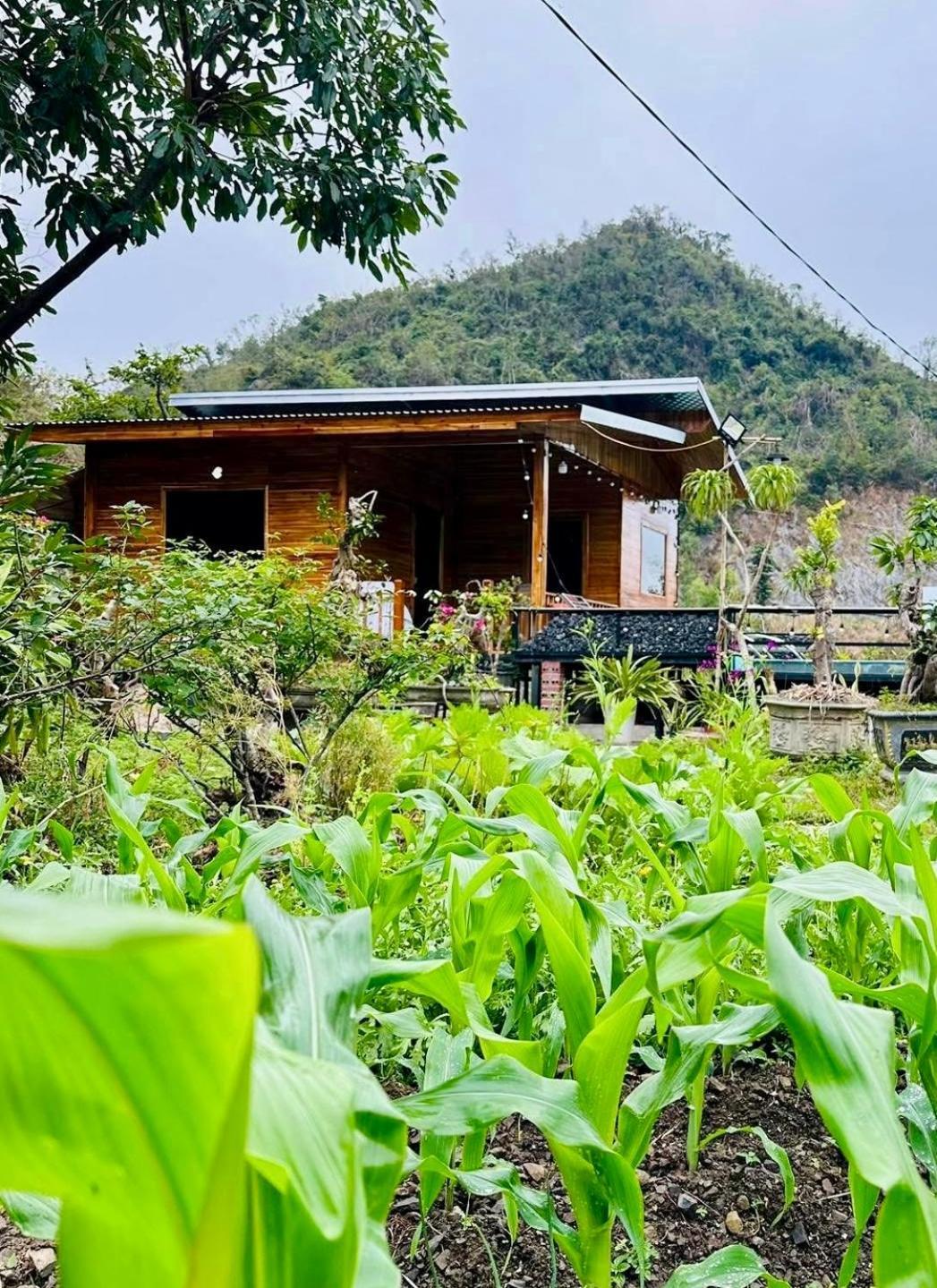 Cat Ba Love House Xuan Dam Exterior photo
